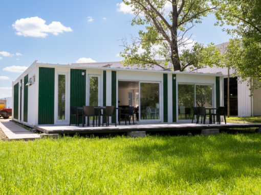 Generated Image January 22, 2026 - 11_42AM